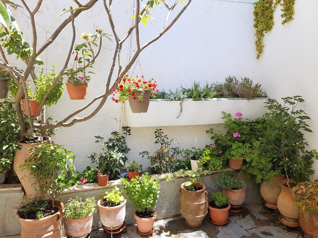 Kalypso Agia Galini Exterior foto
